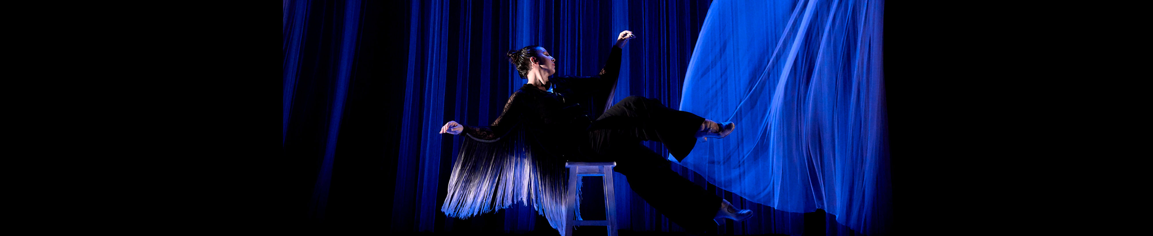 Foto cabecera Galería