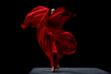 La Danza Contemporánea: Un Lenguaje Corporal Universal